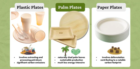 Areca leaf plates for sustainable tableware comparison